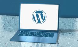 WordPress vs Desarrollo Web a Medida